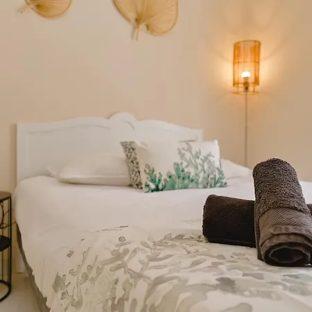 Renove Hyper Centre- Daire Ajaccio (Corsica)